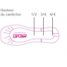 POINTES "BELLE" Débutantes Pied large Box D - MERLET