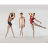 Justaucorps Ballet Rosa Joséphine